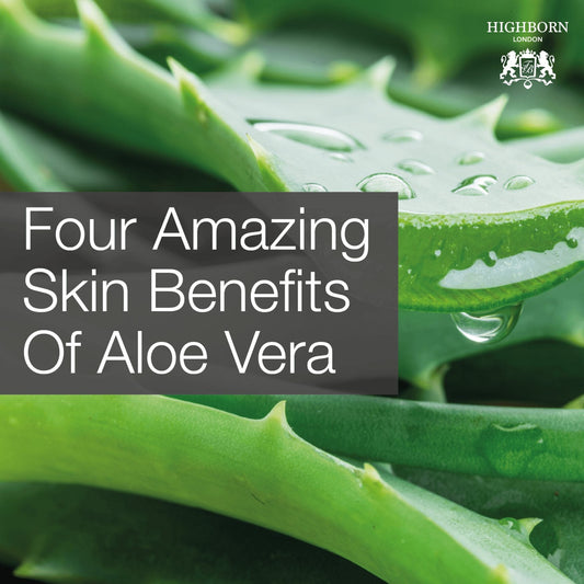 Why Aloe Vera Is The Best Ingredient For All Skin Types - HighBorn London