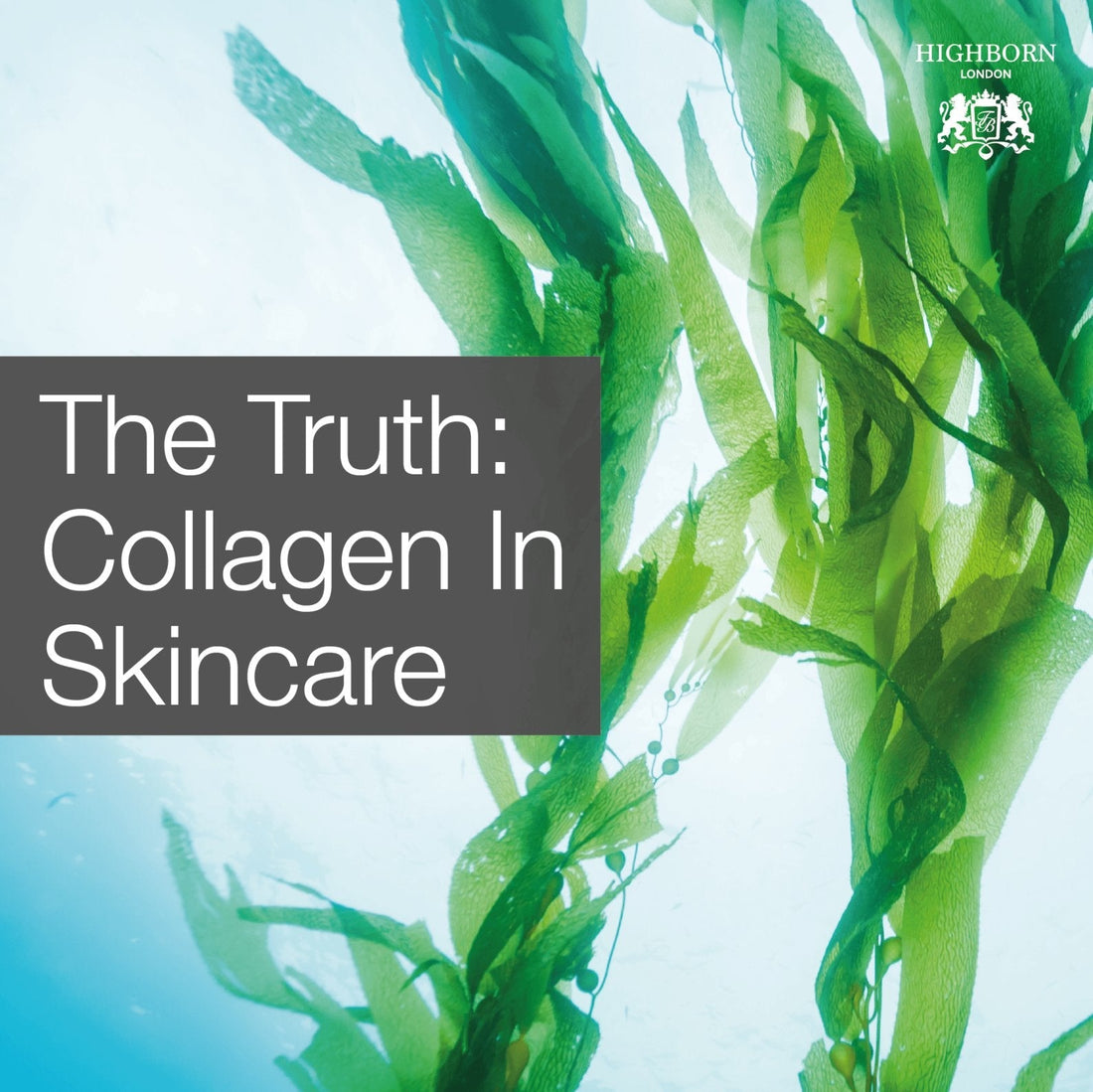 Does Collagen In Skincare Really Work? - HighBorn London